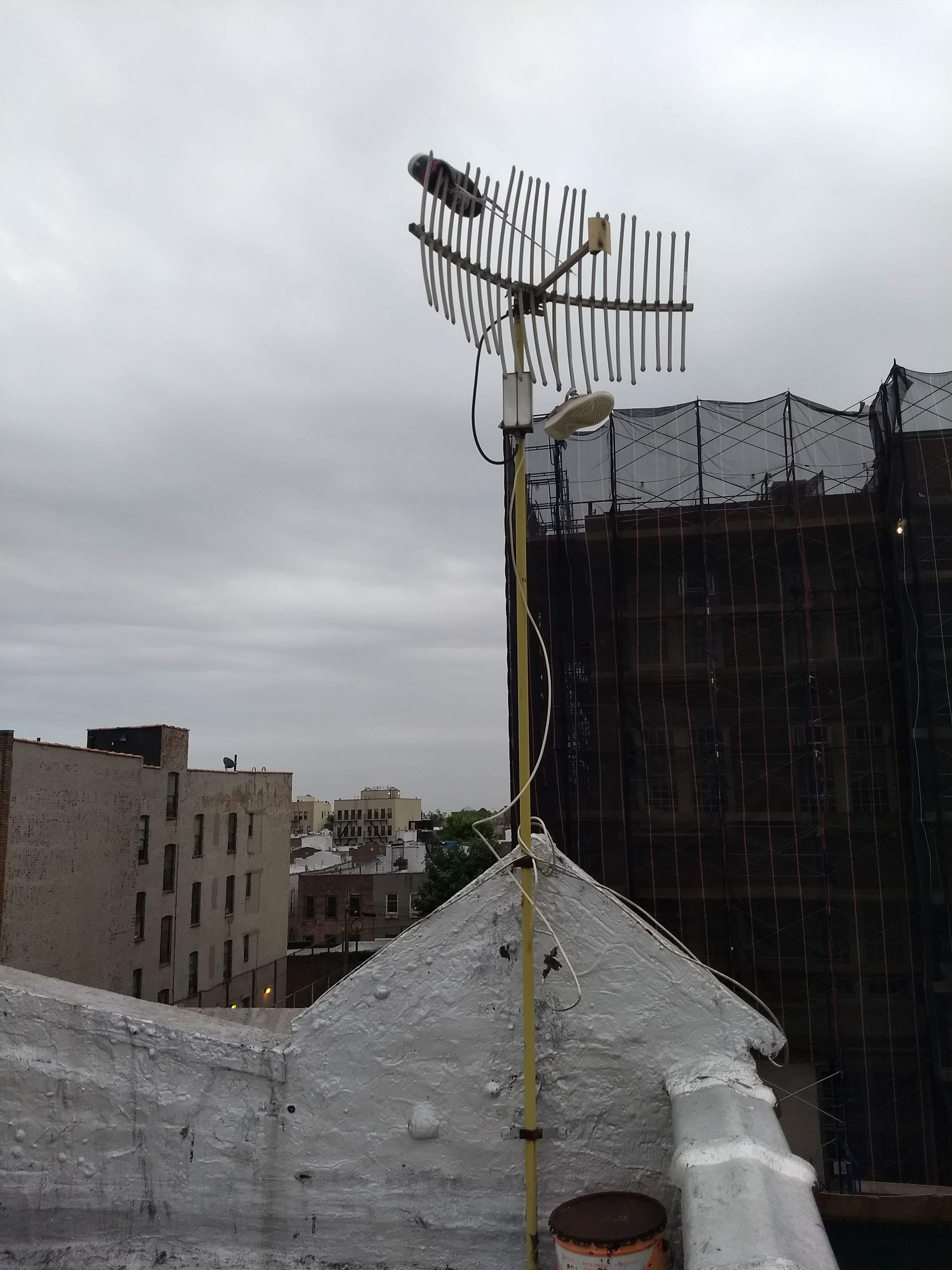 rooftop